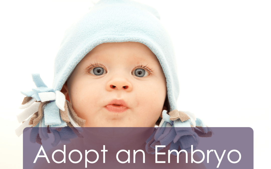 Adopt an Embryo