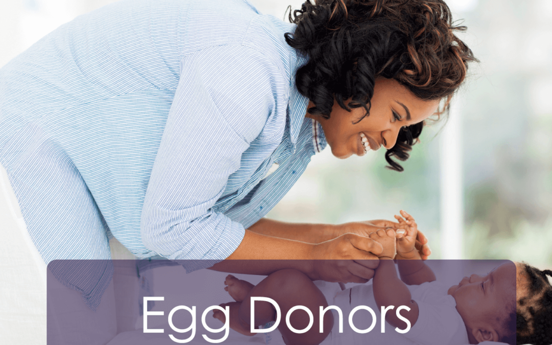 Egg Donors