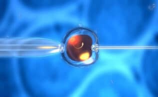 artificial insemination or in-vitro fertilization of an egg cell,ovum or zygote Fertility Treatment Center