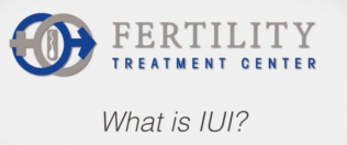 what is iui