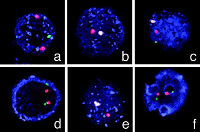 Genetic Testing Images