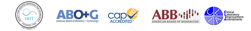 Dr. Craig's Board Certifications and Memberships