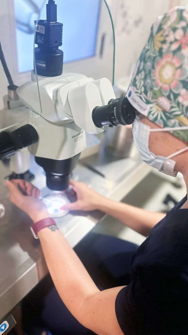 Frozen Embryo Transfer Fertility Treatment Center